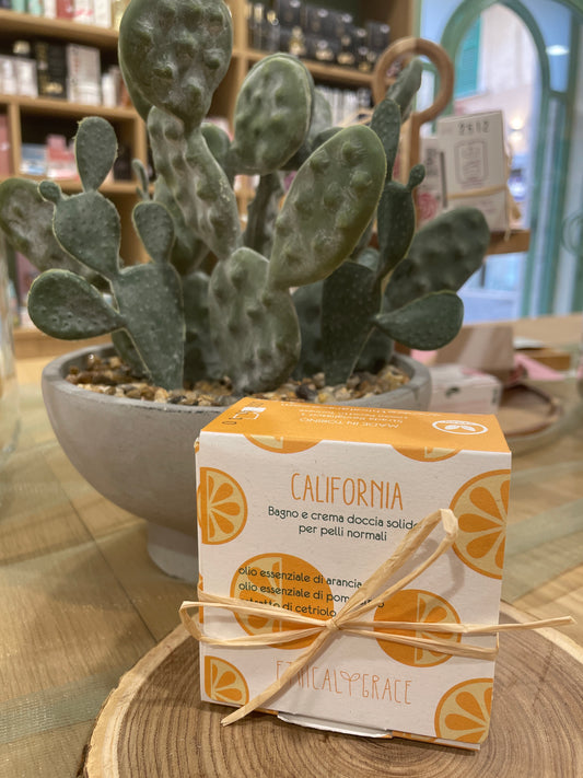 Ethical Grace | California Crema & Bagnodoccia Solido 2 in 1 – Tonificante Agrumato per Tutta la Famiglia