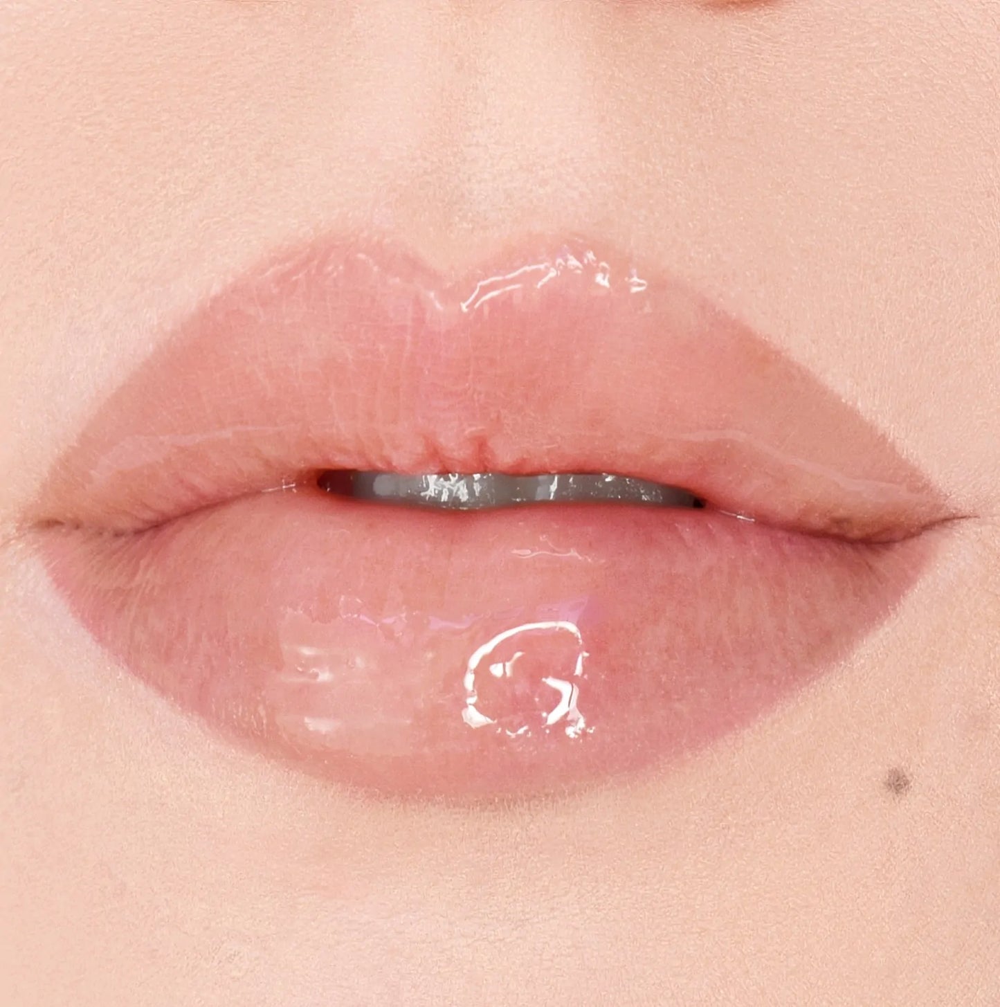 PuroBio Cosmetics | Lip Gloss