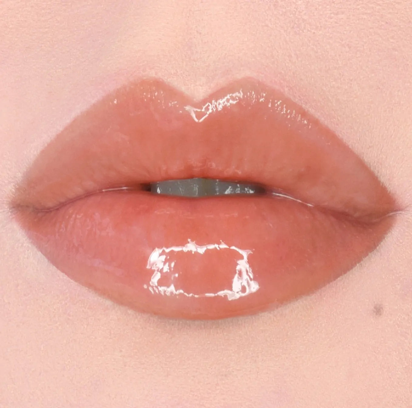 PuroBio Cosmetics | Lip Gloss