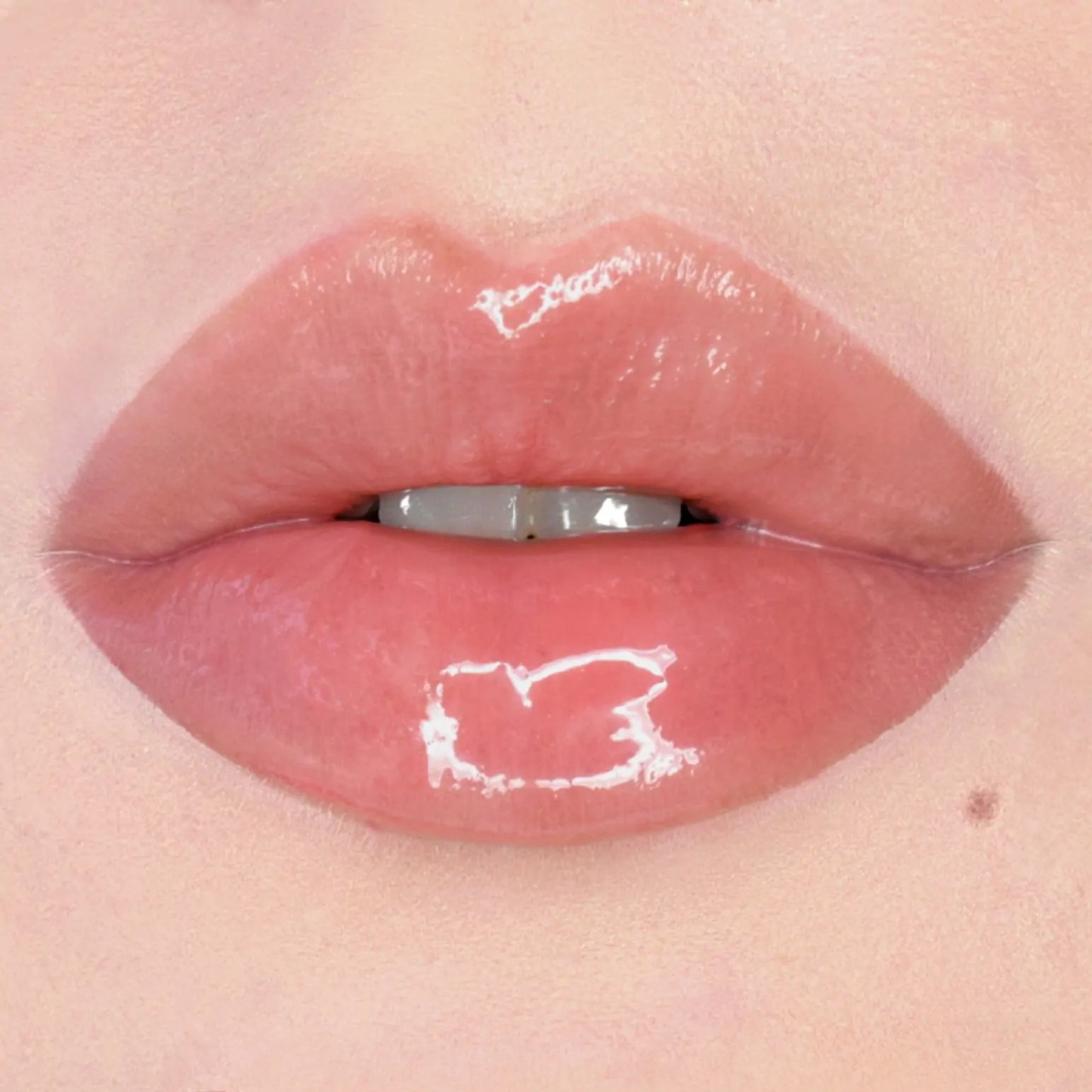 PuroBio Cosmetics | Lip Gloss