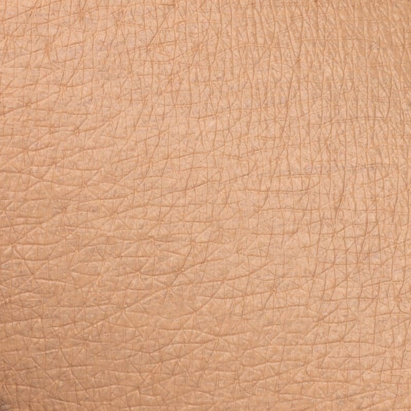 Neve Cosmetics | Ristretto concealer