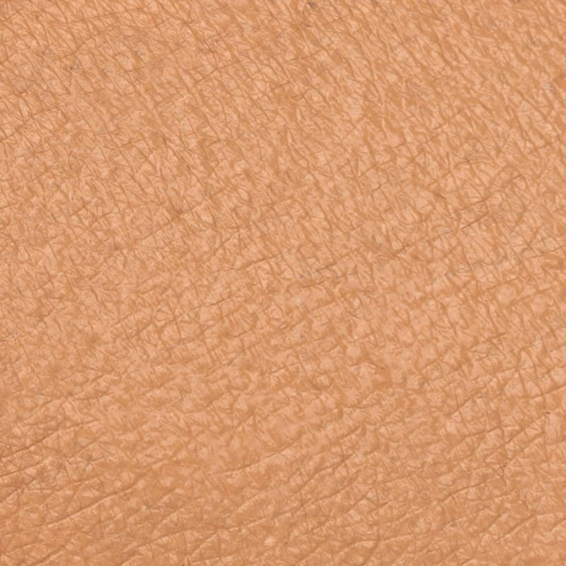 Neve Cosmetics | Ristretto concealer