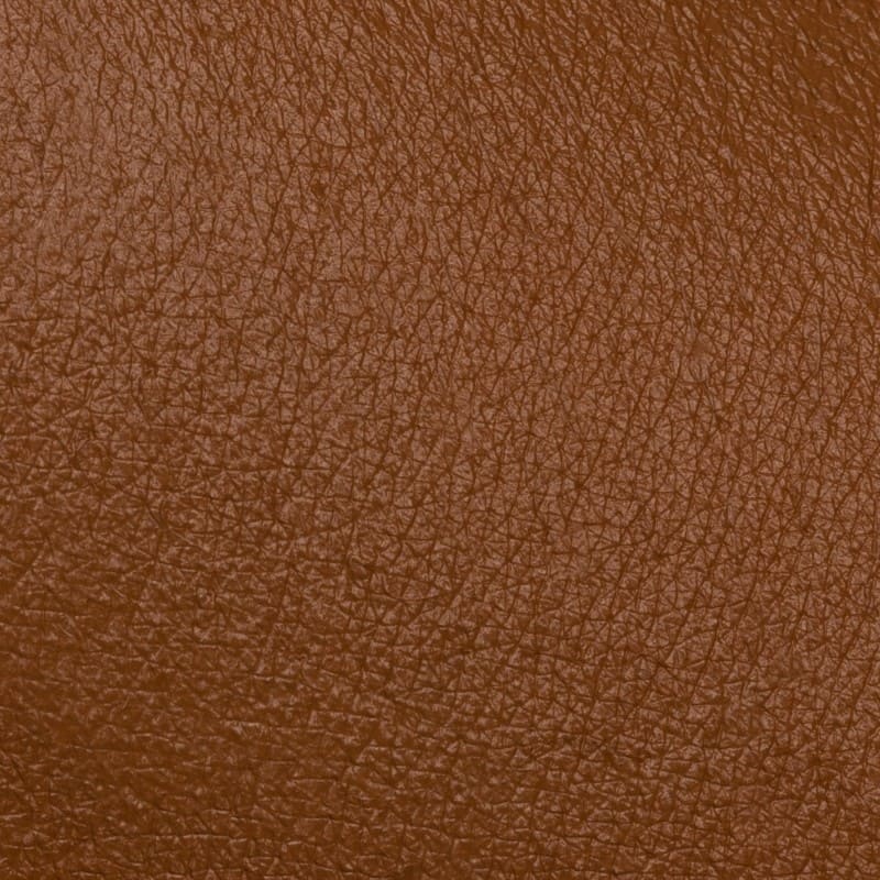 Neve Cosmetics | Ristretto concealer